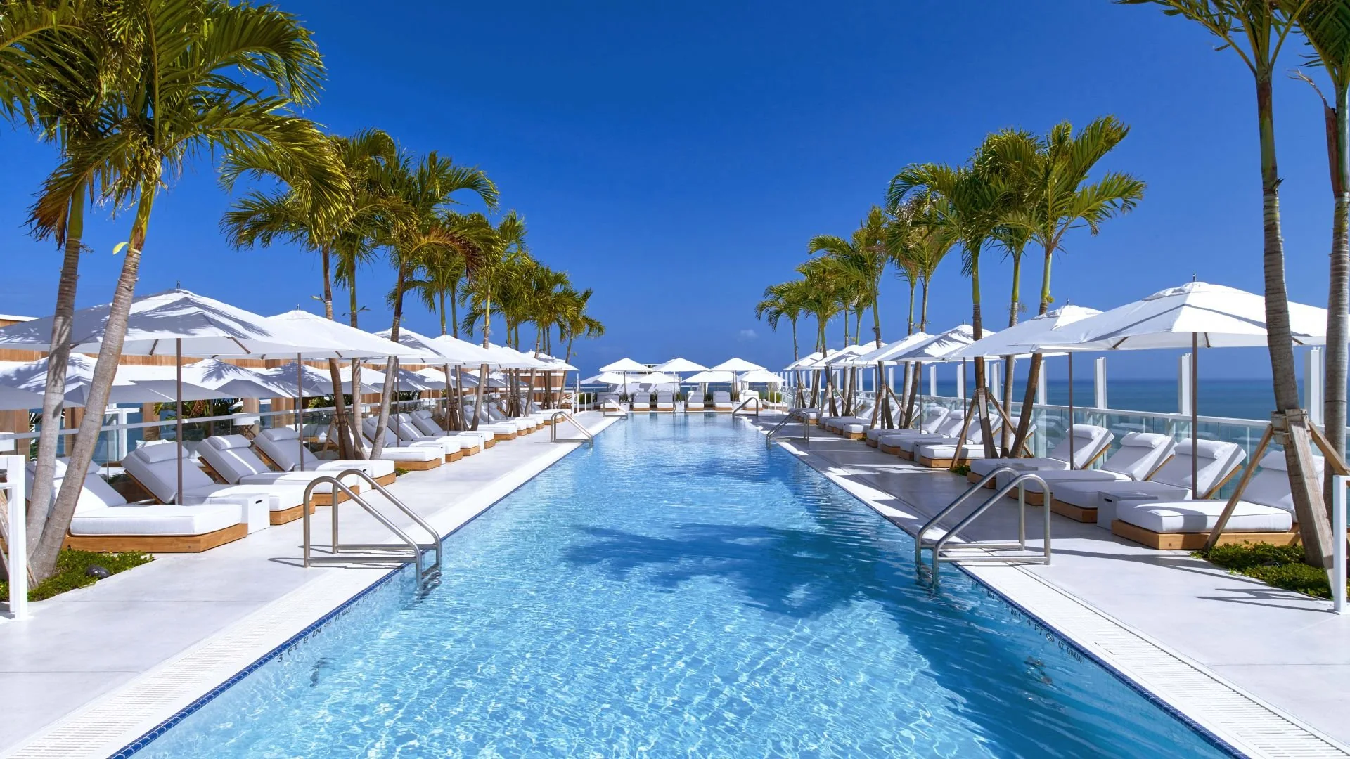 Resort swimming pool lined with palm trees