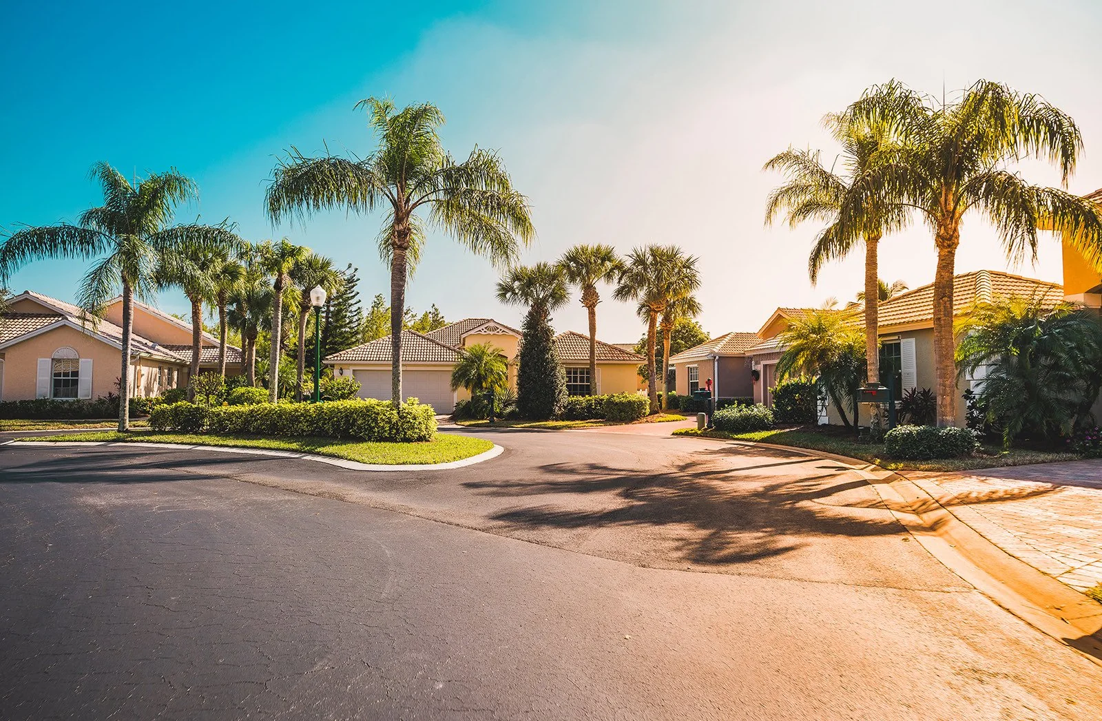Palm-lined gated community entrance
