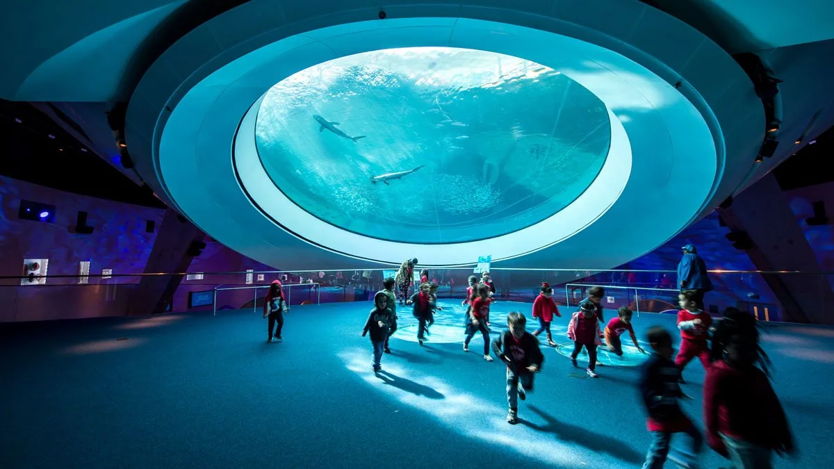 Visitors beneath a large aquarium viewing window
