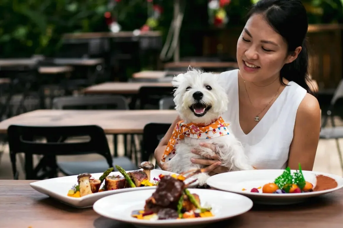 Woman dining outdoors with her dog