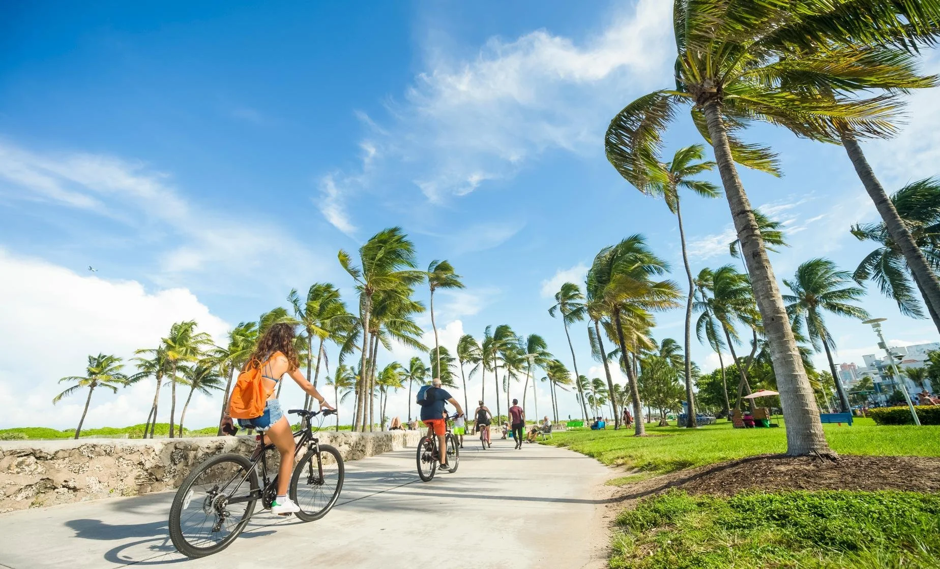Cycling along a palm-lined waterfront